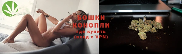 СК Бородино