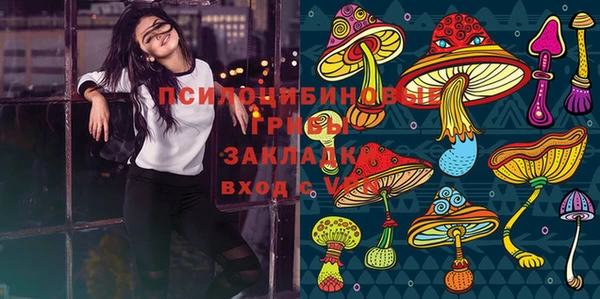 СК Бородино