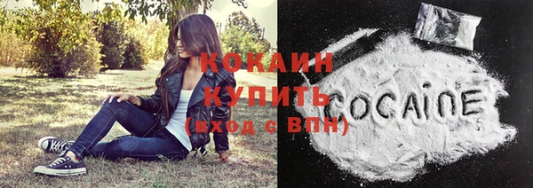 СК Бородино